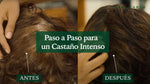 Ritual Tierra Profunda (Castaño Intenso)