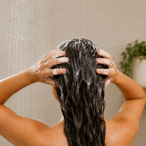𝟏. 𝐋𝐚𝐯𝐚 𝐞𝐥 𝐜𝐚𝐛𝐞𝐥𝐥𝐨 𝐚𝐧𝐭𝐞𝐬 𝐝𝐞 𝐚𝐩𝐥𝐢𝐜𝐚𝐫. El cabello debe estar limpio y libre de aceites,siliconas o productos de styling para que las plantas puedan adherirse correctamente ala fibra capilar.