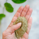 Cassia Obovata