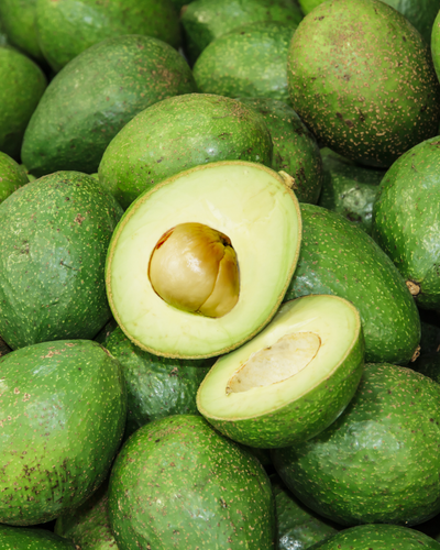 Aguacate