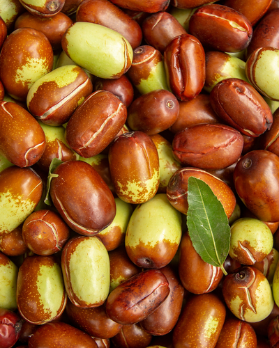 Jojoba