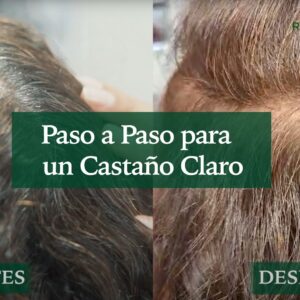 Paso a paso para castaño claro