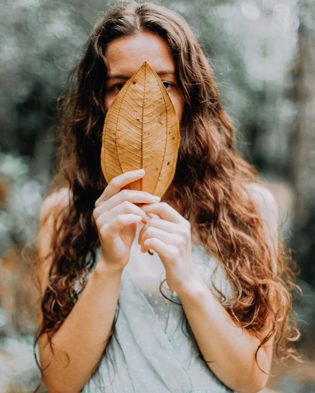 Cuida tu cabello teñido con plantas